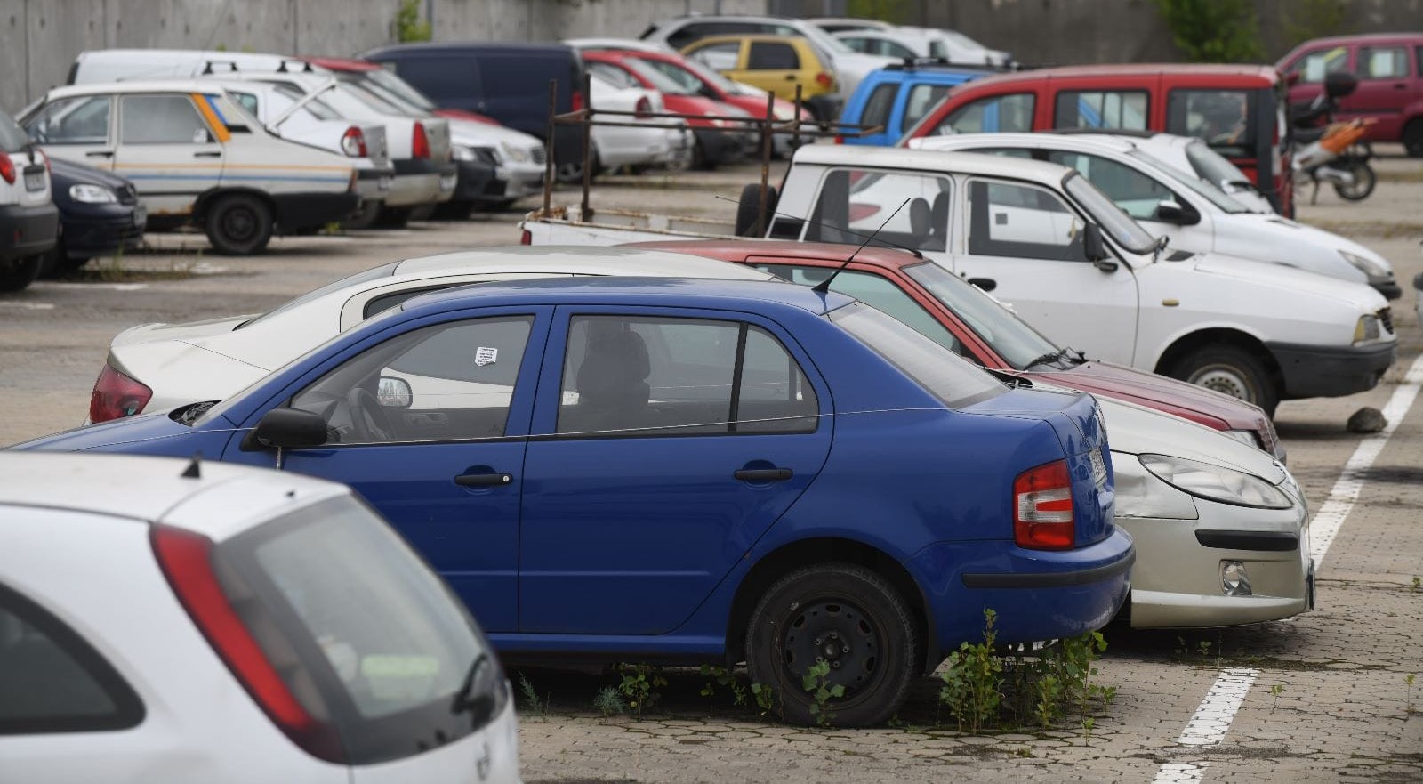 Rabla local, la Primăria Sectorului 6: iată cât de simplu se pot înscrie cei 1.090 de cetățeni înregistrați la AFM!