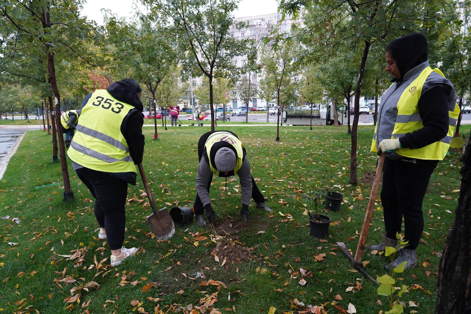 Peste 200.000 de noi arbori, arbuști și diferite plante, în Sectorul 3