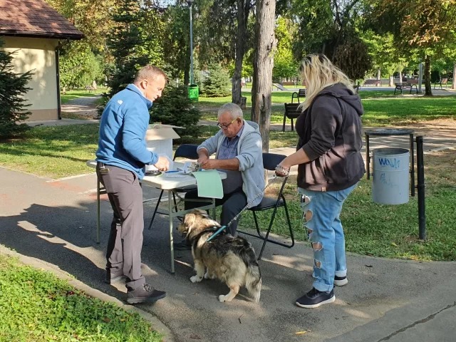 Orădenii deținători de câini nemicrocipați aparținând rasei comune  sunt așteptați la cabinetele veterinare