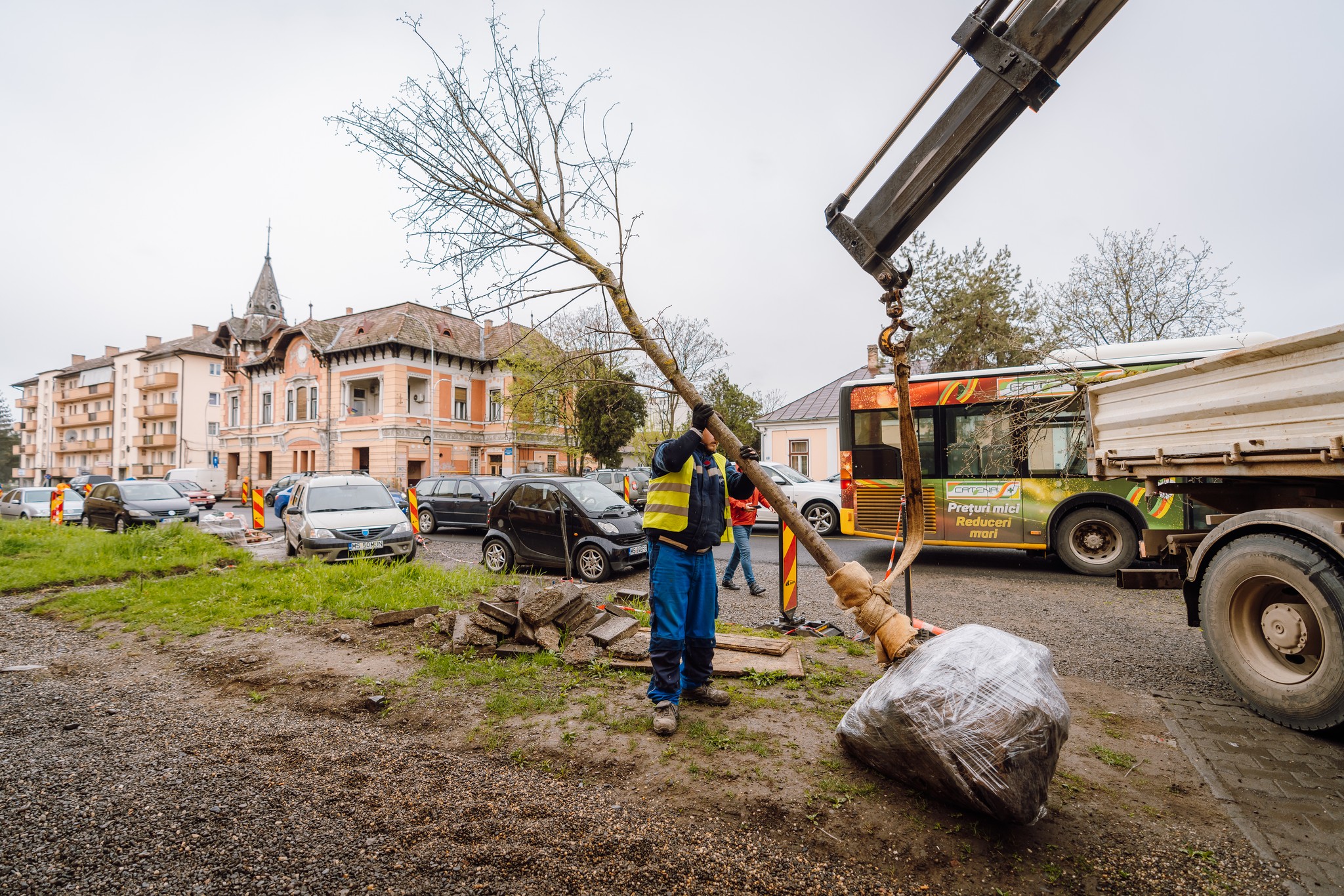 Arbori noi plantați pe Gheorghe Doja