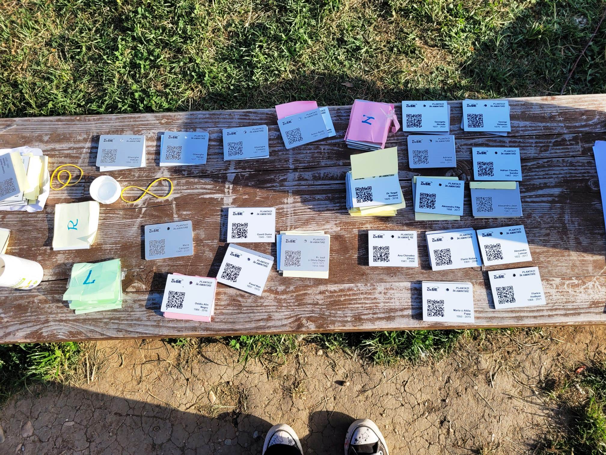 Plăcuțe noi pentru mestecenii din parcul „Plantați în amintire”