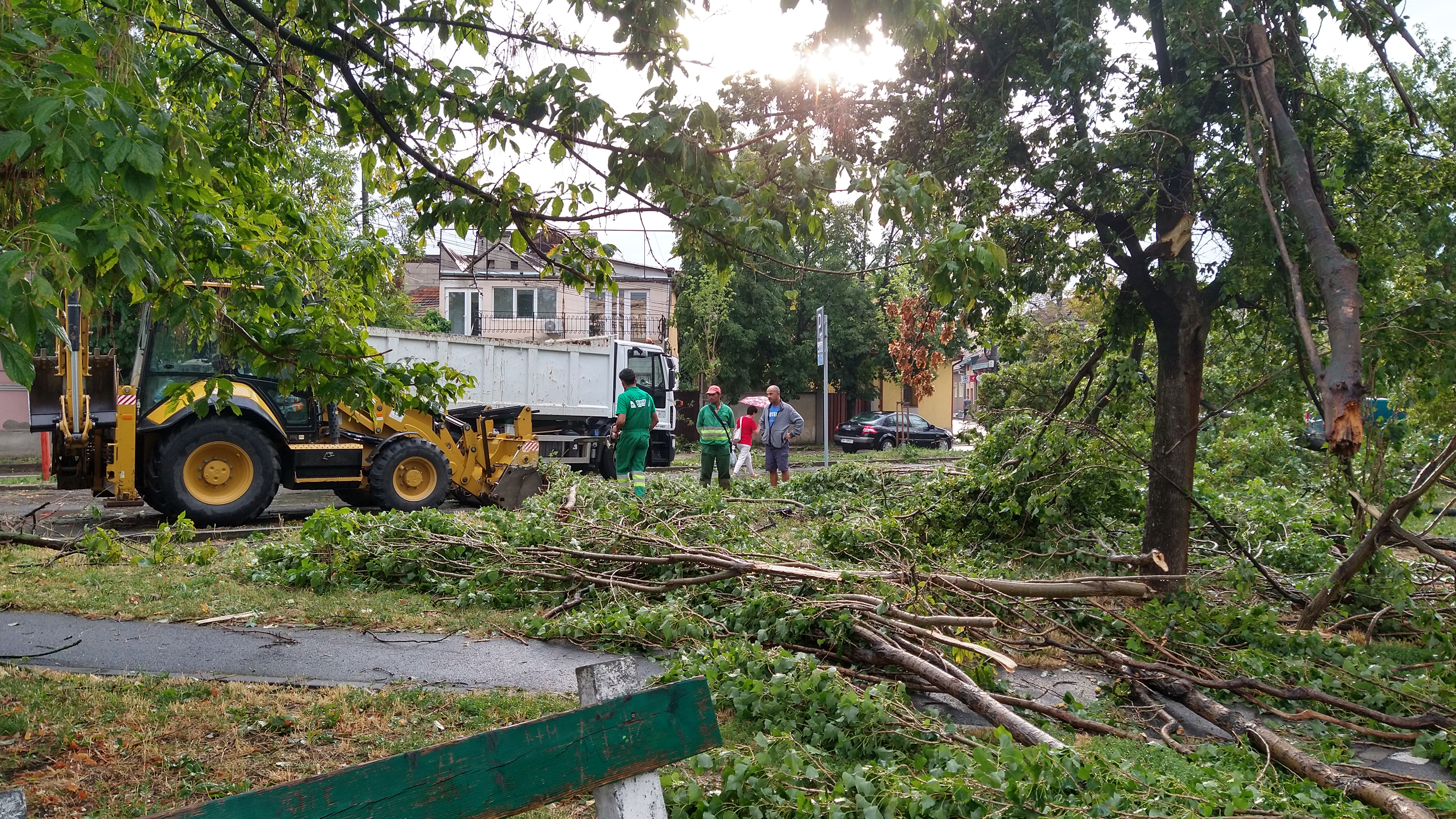 Toate utilajele RER sunt în teren pentru a salubriza orașul în urma furtunii de ieri. Primarul, apel către orădeni