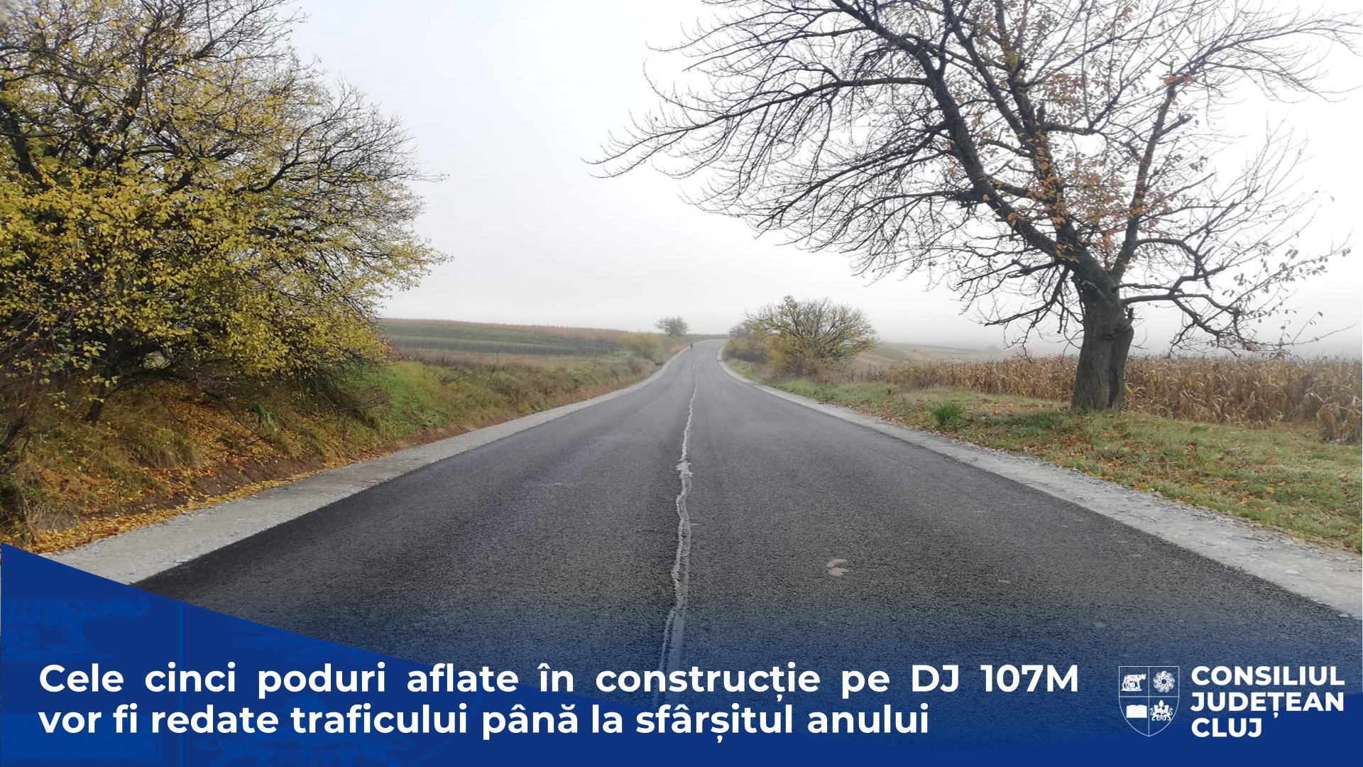 Cele cinci poduri aflate în construcție pe drumul județean 107M vor fi redate traficului până la sfârșitul anului