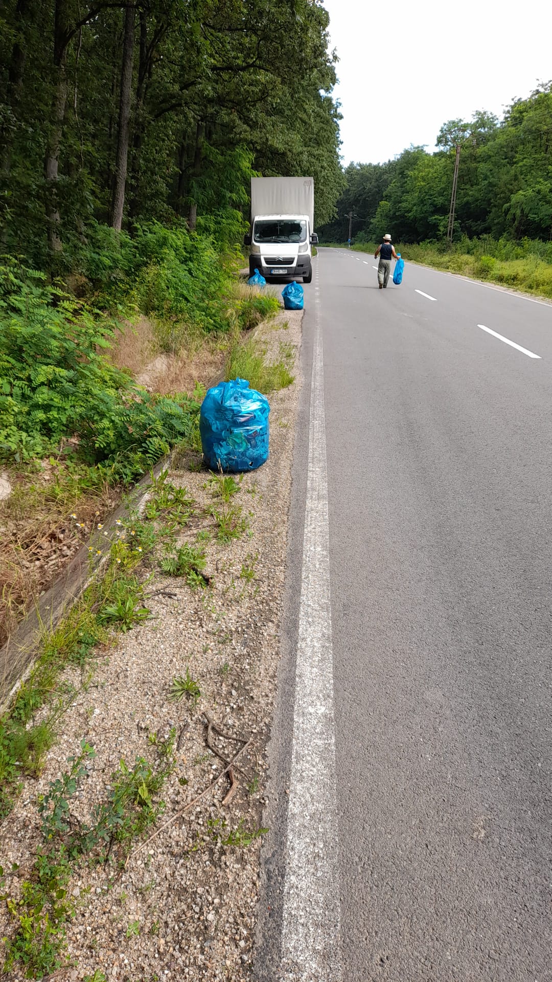 Peste 200 de tone de deșeuri, strânse de pe drumurile județene în 2022