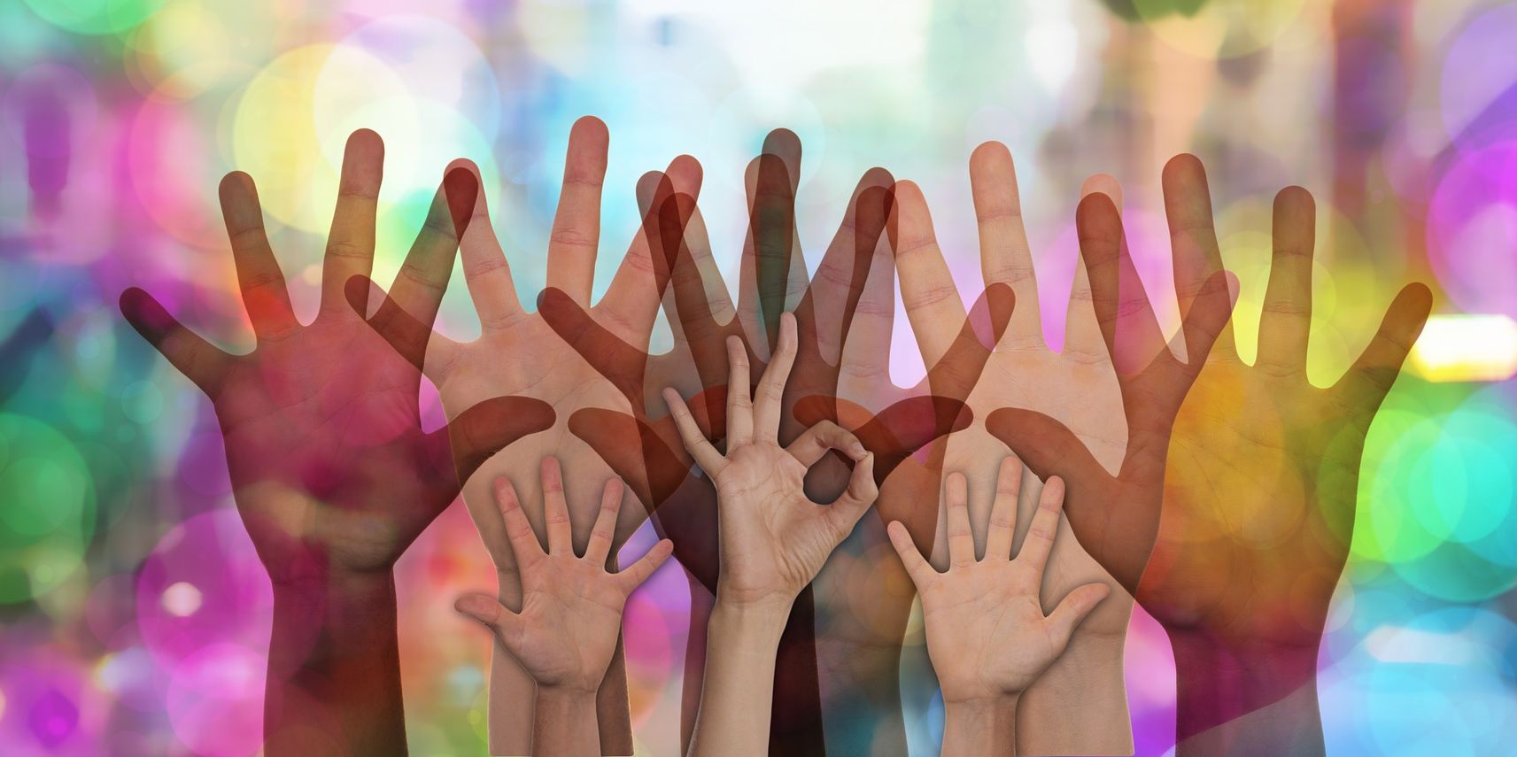 DAS Deva caută voluntari!