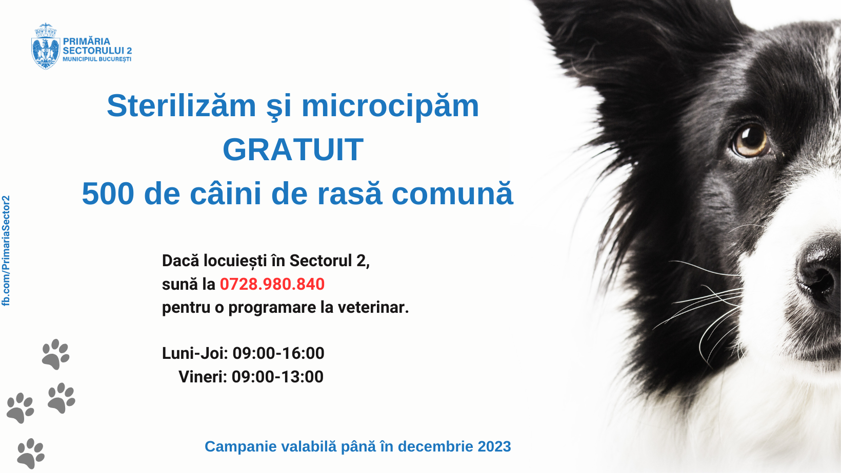 Primăria Sectorului 2 demarează campania de sterilizare şi microcipare gratuită a 500 de câini de rasă comună