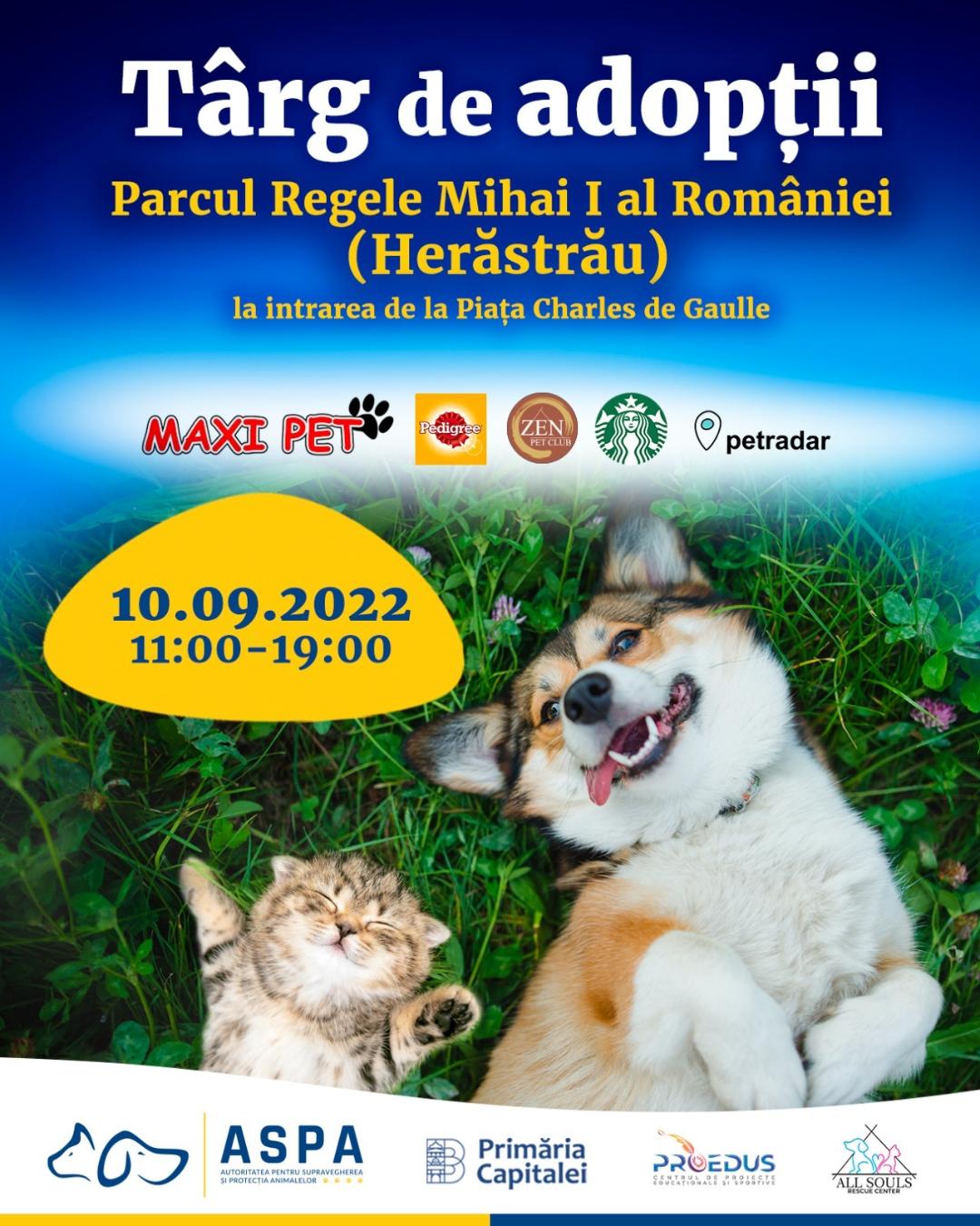 Un nou târg de adopții în Parcul Herăstrău