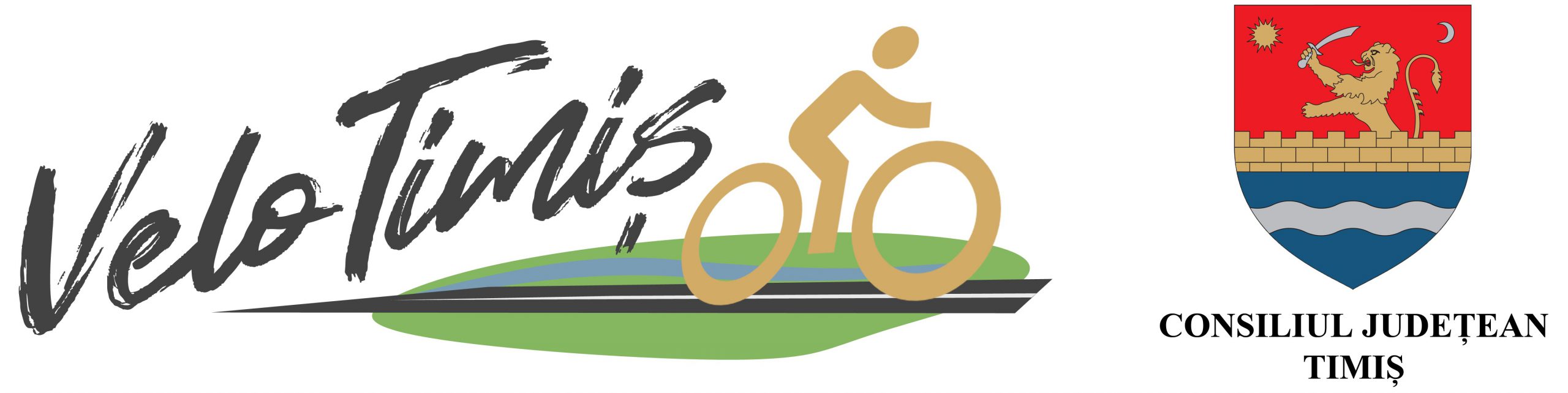 Strategia pentru realizarea pistelor de biciclete în Județul Timiș - "VELO-TIMIȘ", în transparență decizională