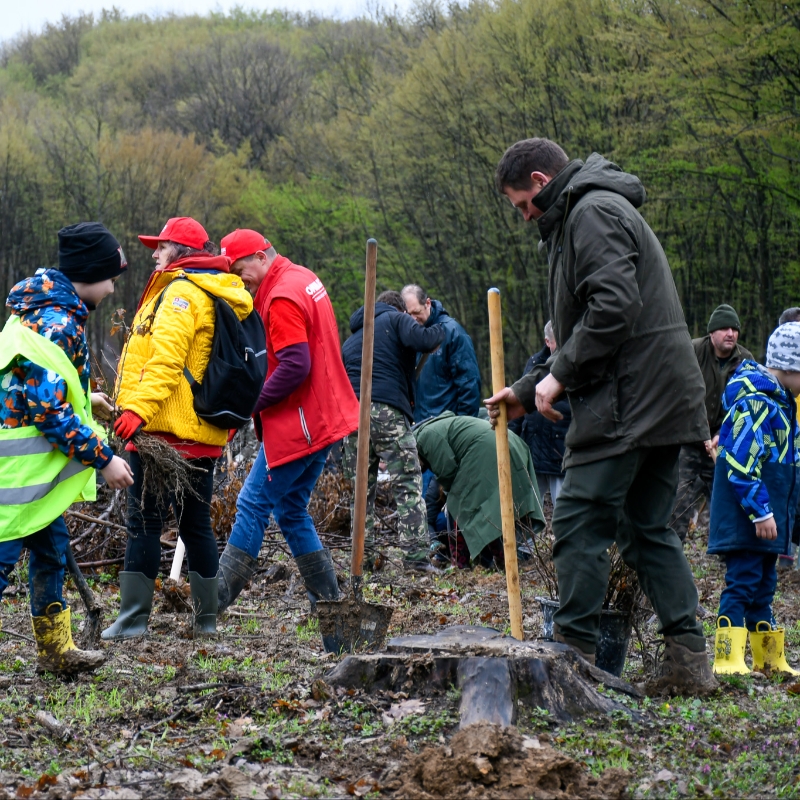Fie soare, fie ploaie, ,,Bihorul Plantează”