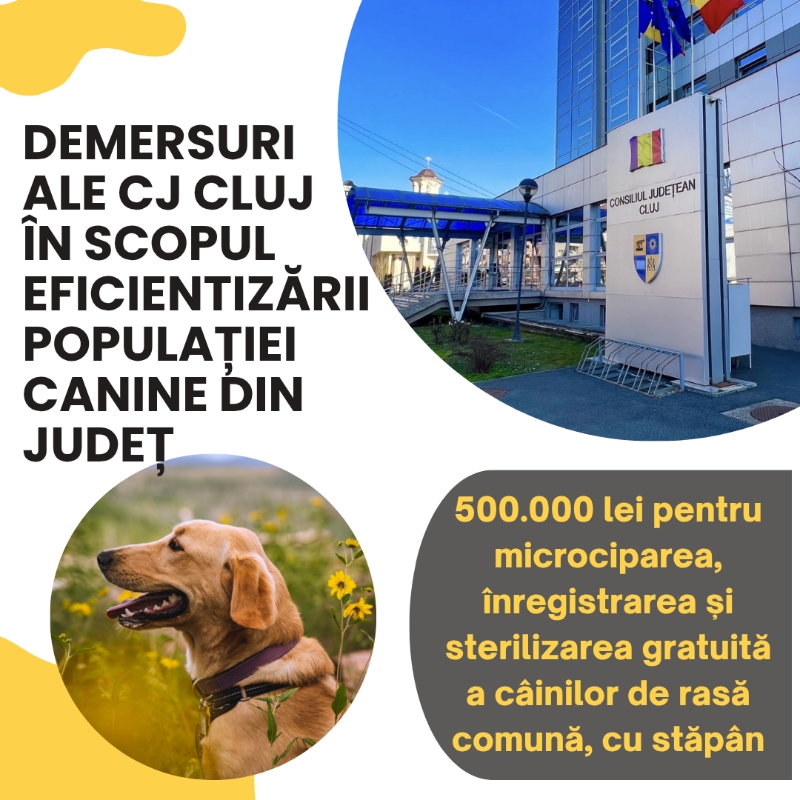 Demersuri ale Consiliului Județean în scopul eficientizării populației canine din județul Cluj