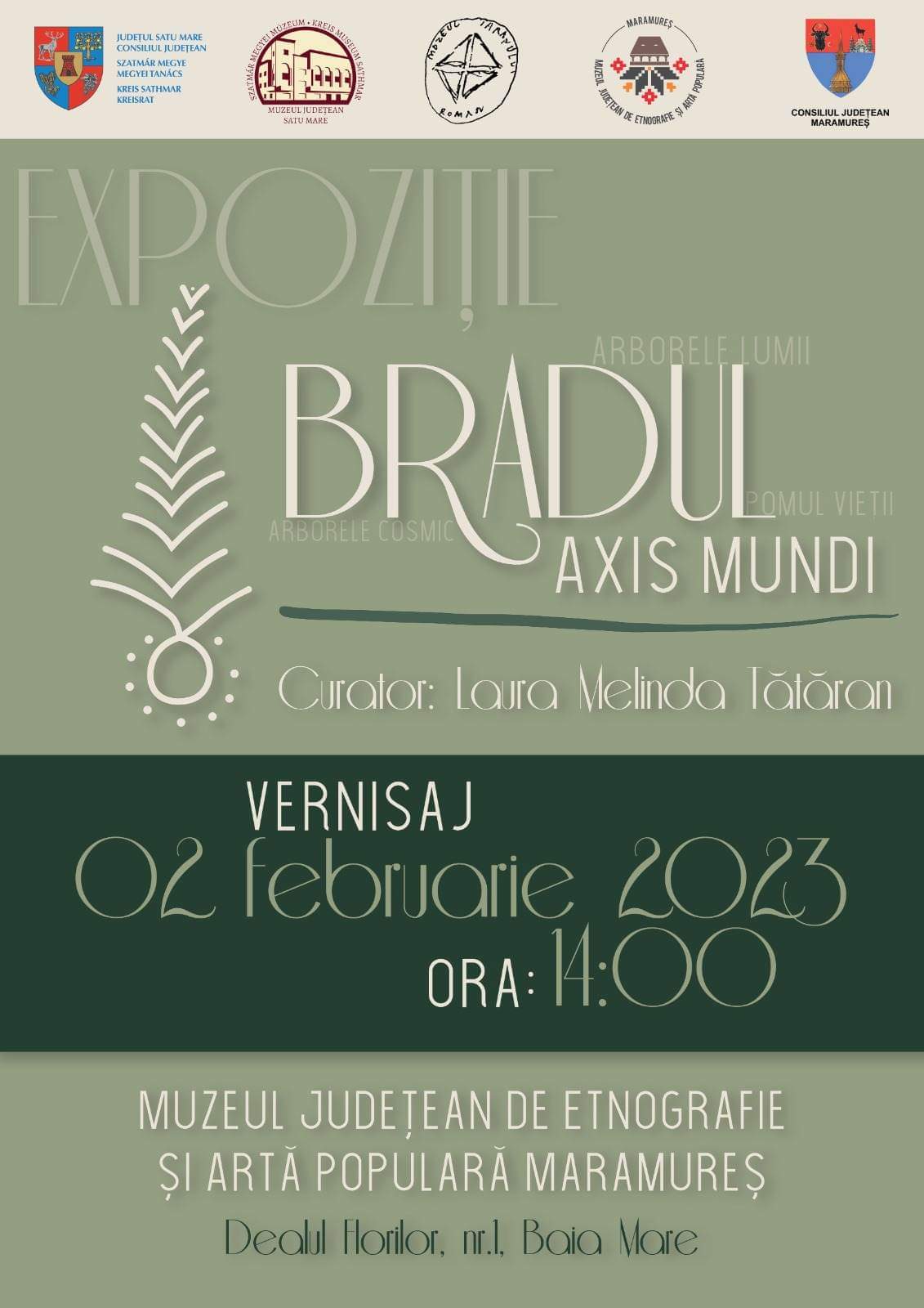 Expoziție la Muzeul Județean de Etnografie și Artă Populară Maramureș:  ”Bradul – Axis mundi”