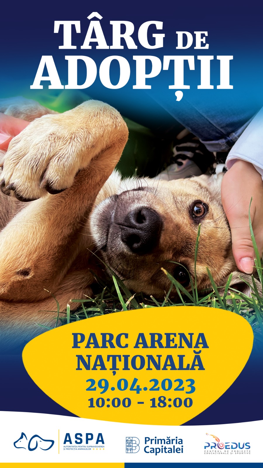 Târg de adopții de căței la Arena Națională. 50 de căței sunt propuși pentru adopție