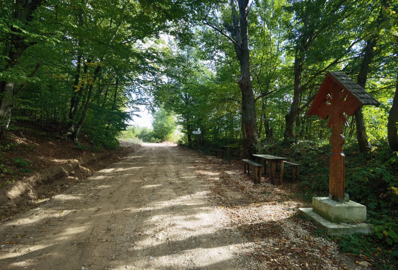 Iustin Cionca: ”Am câștigat finanțarea pentru Drumul Regelui!”