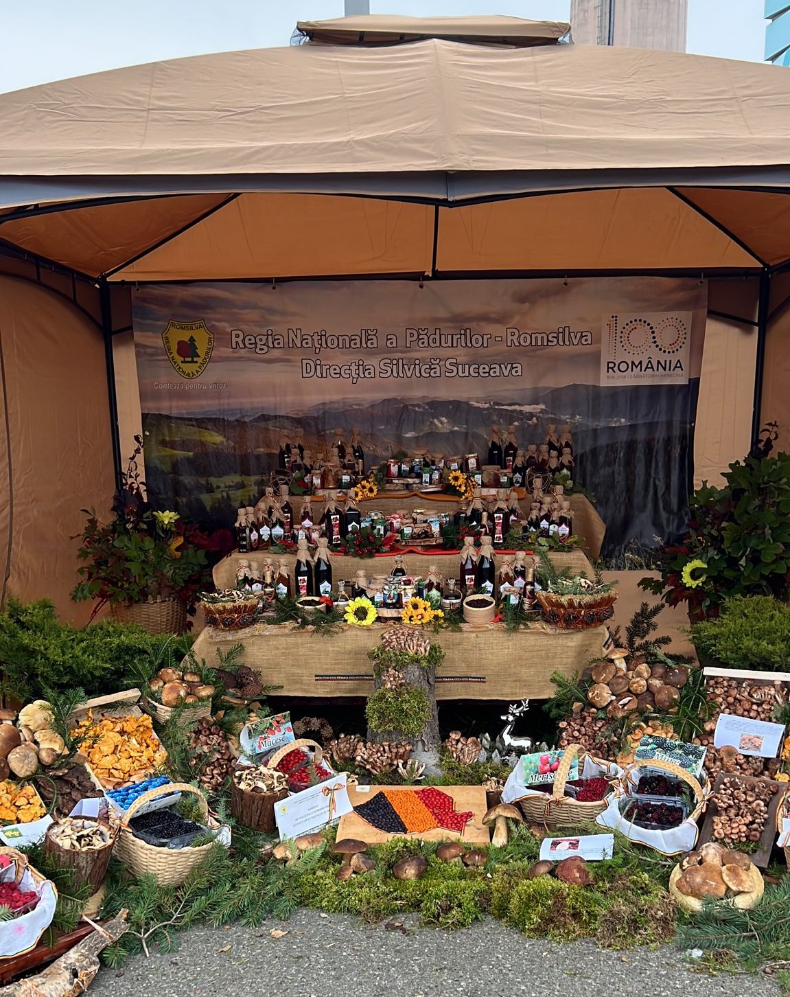Târgul Produs de Cluj ajunge în Bucovina