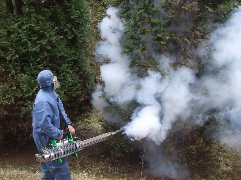 Primăria Municipiului Deva a încheiat contractul cu operatorul serviciului public de salubrizare – activitatea de dezinsecție, dezinfecție și  deratizare