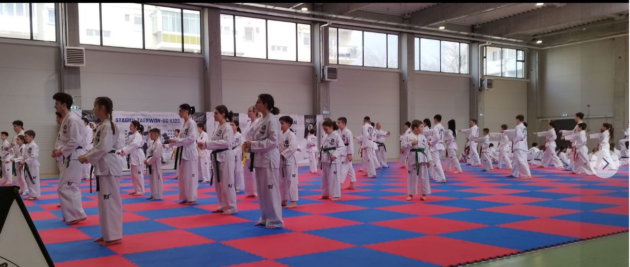 Demonstraţie de taekwon-do în Piața Arras din Deva