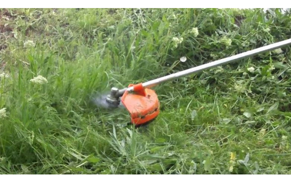 Orădenii au obligația să își întrețină lunar spațiile verzi. În caz contrar, Poliția Locală Oradea va aplica sancțiuni