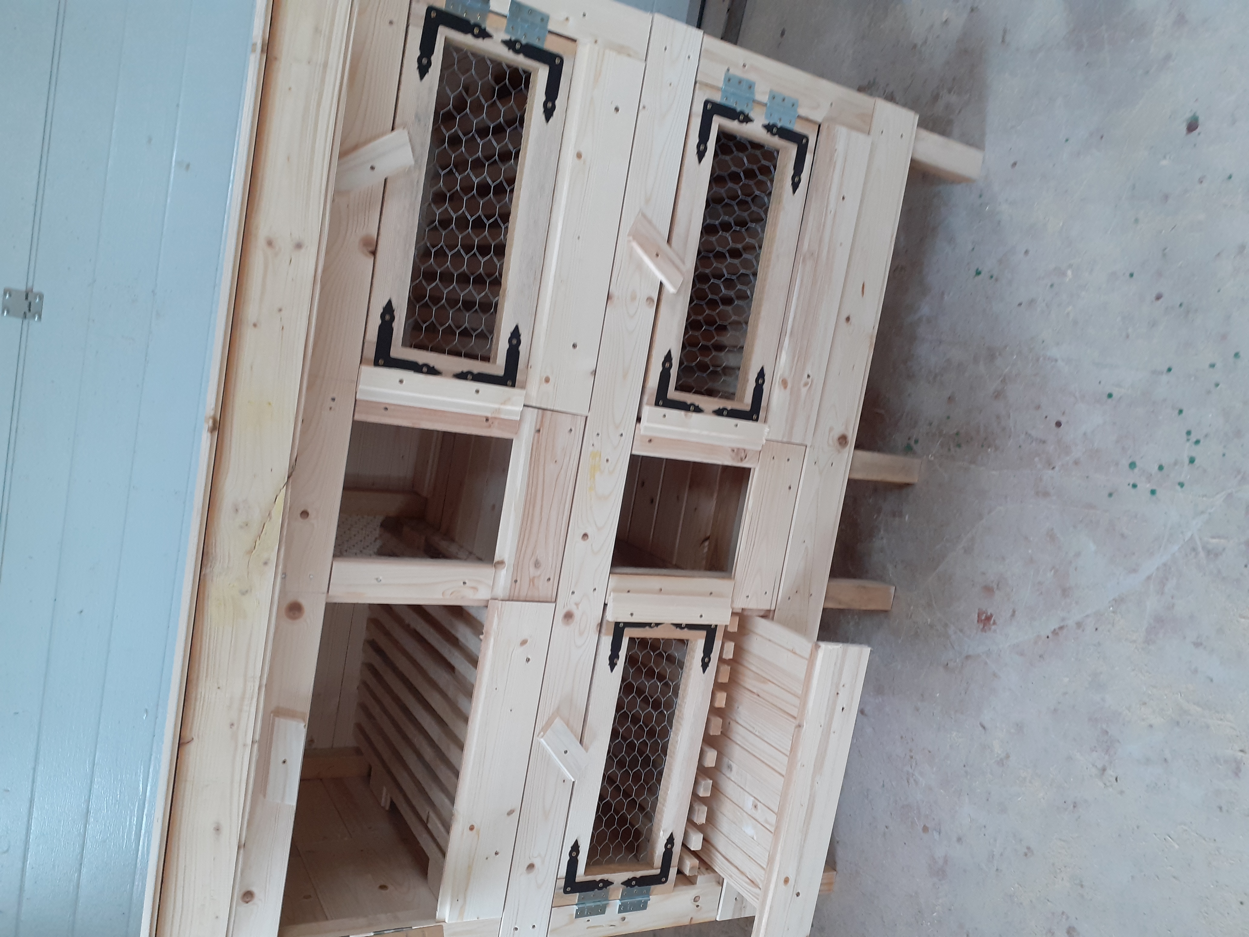 Cuşcă pentru animale