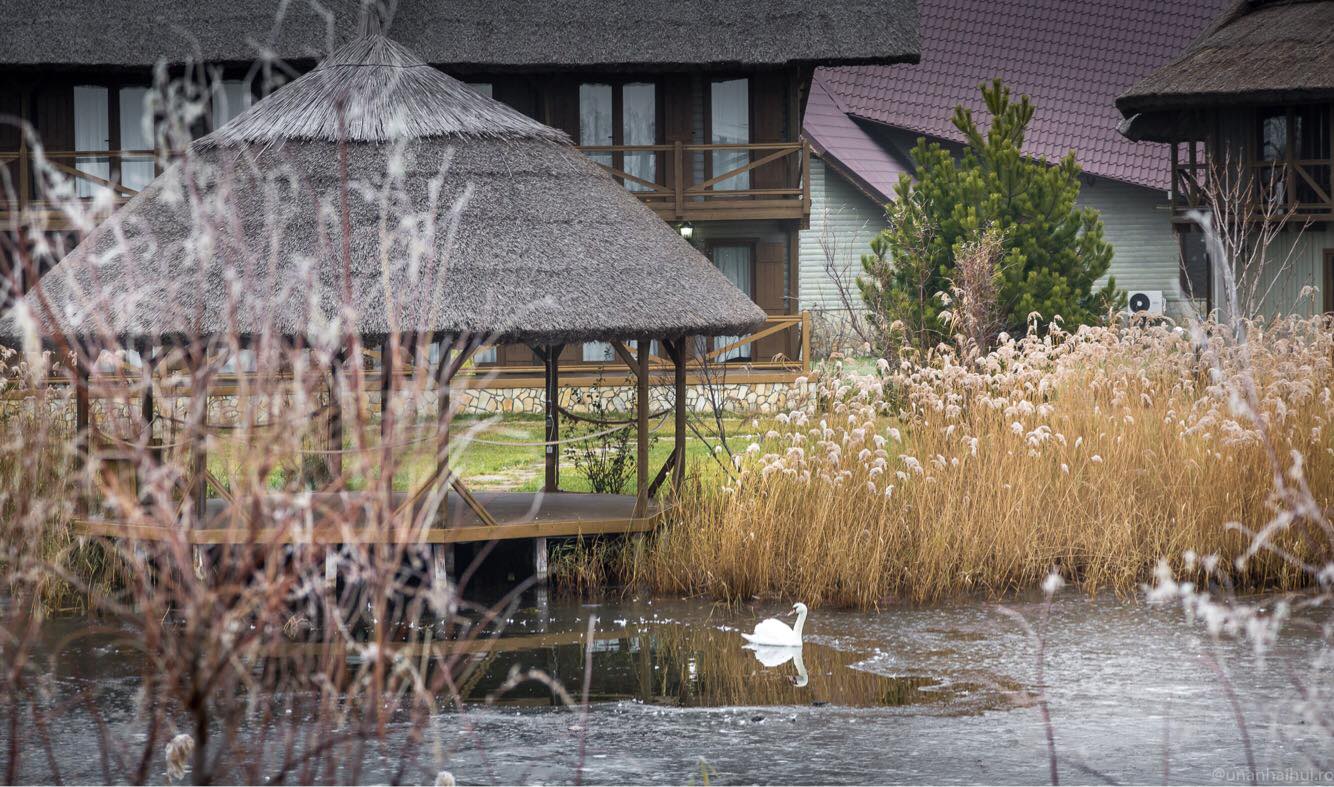 Craciun 2021 in Delta Dunarii - Green Village Resort 4*