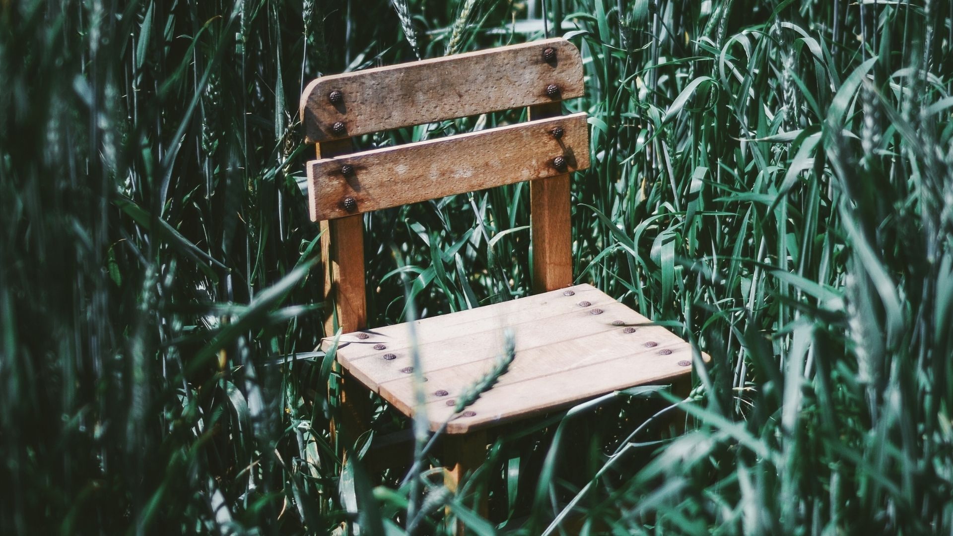 Scaun din lemn masiv