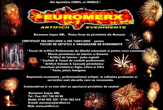Focuri de artificii Profesionale