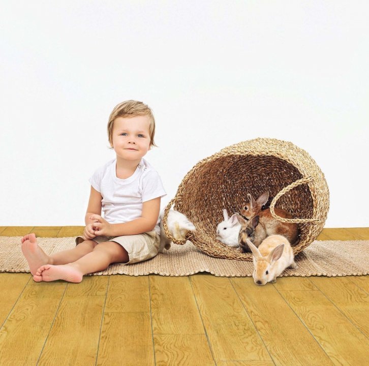 Parchet laminat Baumann stejar auriu, 12 mm, H1638-1-LF (K2707-LF)