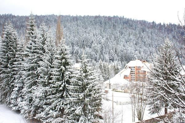 Craciun 2021 la Durau - Hotel Bradul 3*