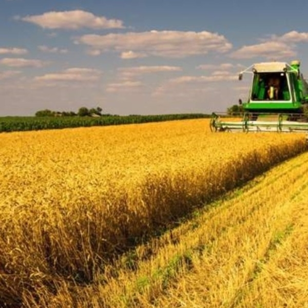 CURS ON-LINE REGISTRUL AGRICOL, CADASTRU SI FOND FUNCIAR 2025 (DIPLOMA 30 ORE)