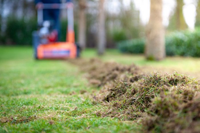 Scarificator Eliet C550 ZR COLLECTOR   .