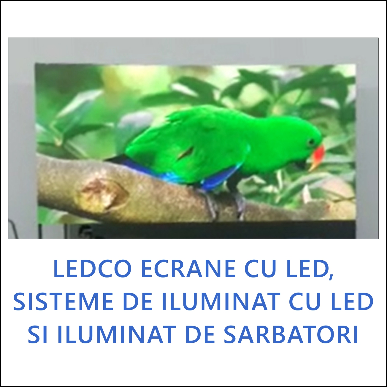 LEDCO ECRANE CU LED, SISTEME DE ILUMINAT CU LED SI ILUMINAT DE SARBATORI