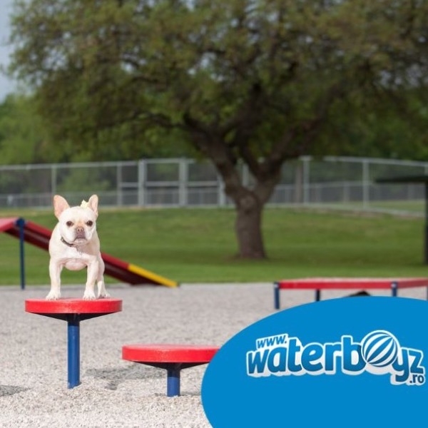 Parcurile pentru câini, necesare orașelor europene