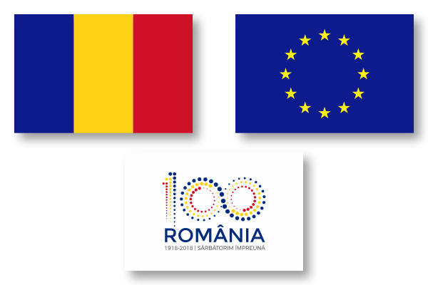 Steguleț auto, 30 x 20cm, cu suport din plastic