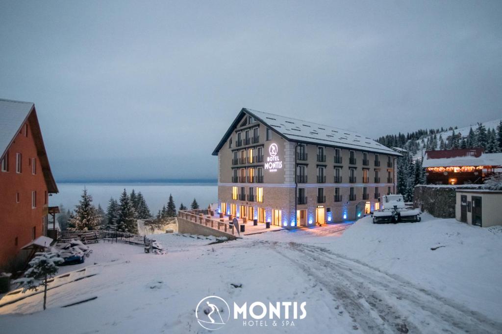 STAȚIUNEA MUNTELE MIC - HOTEL MONTIS****