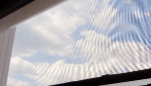 Plase pentru insecte