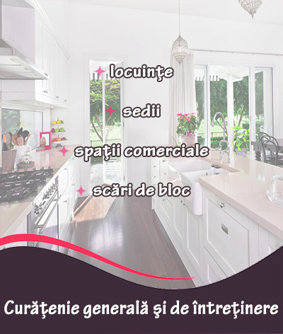 Curățenie generală și de întreținere