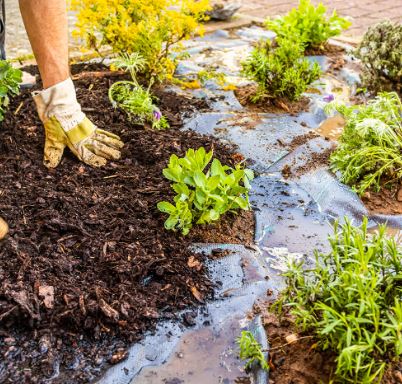 Plase, folii si prelate pentru gradina