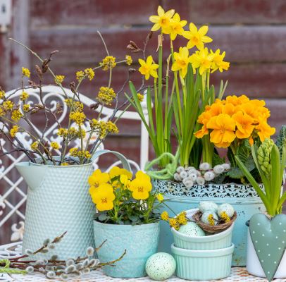 Ghivece de flori si jardiniere