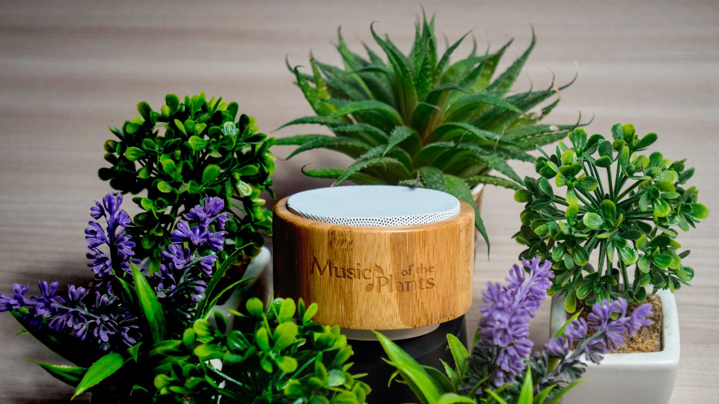 Muzica Plantelor – „GinkGo” – Music of the Plants - dispozitivul care dă glas plantelor