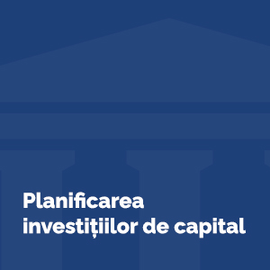Consultanță în planificarea investiţiilor de capital