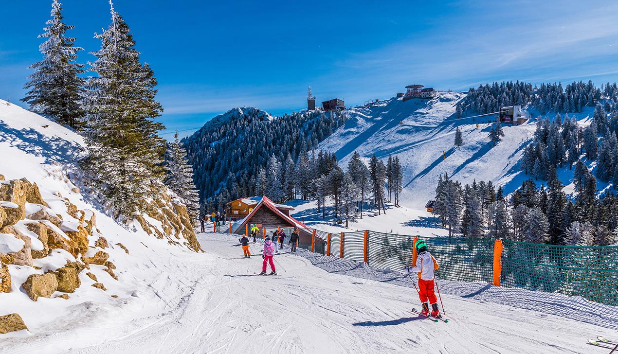 POIANA BRAȘOV - CURSURI FUNCȚIONARI PUBLICI